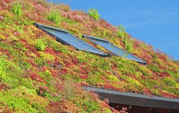 Pentre Gwynfryn living roof systems