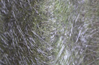 Pentre Gwynfryn fibreglass roof work